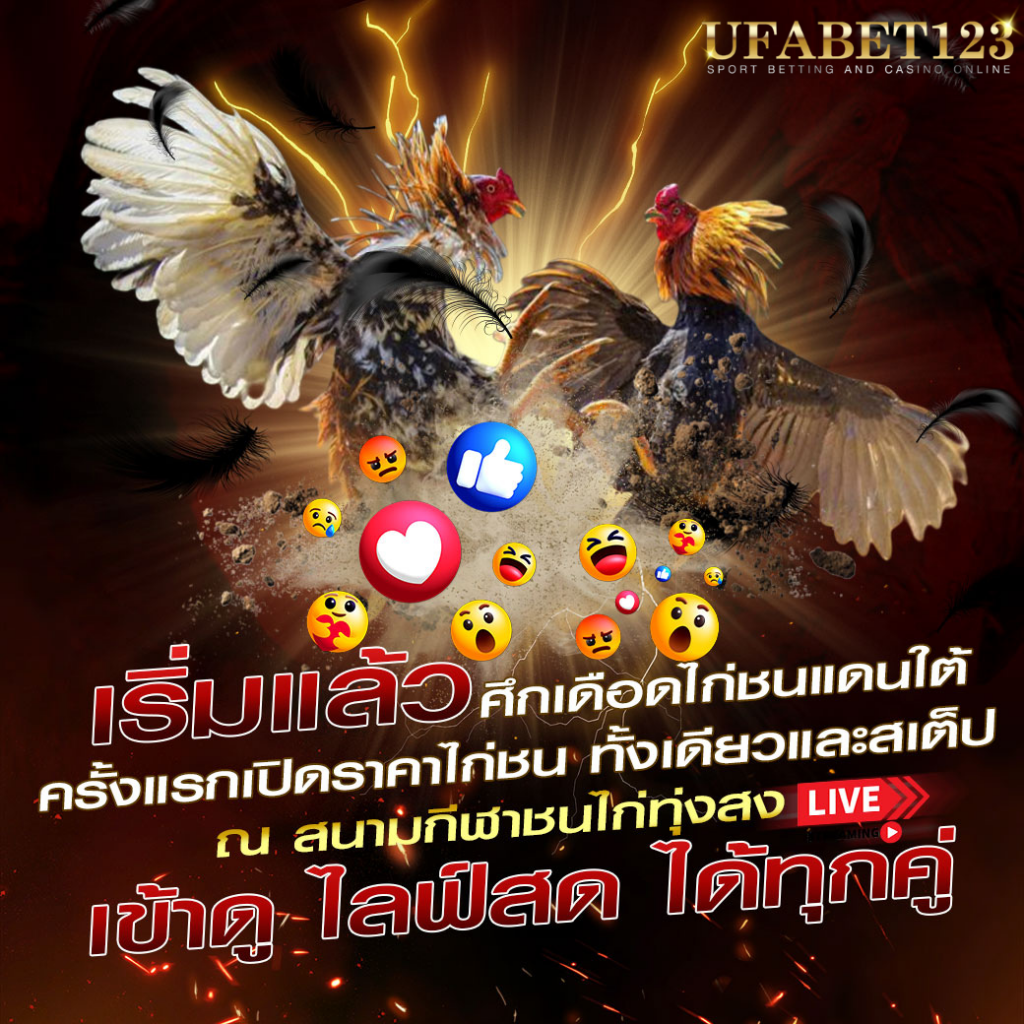 ไก่ชนufabet